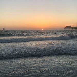 Meet your Posher, Ella